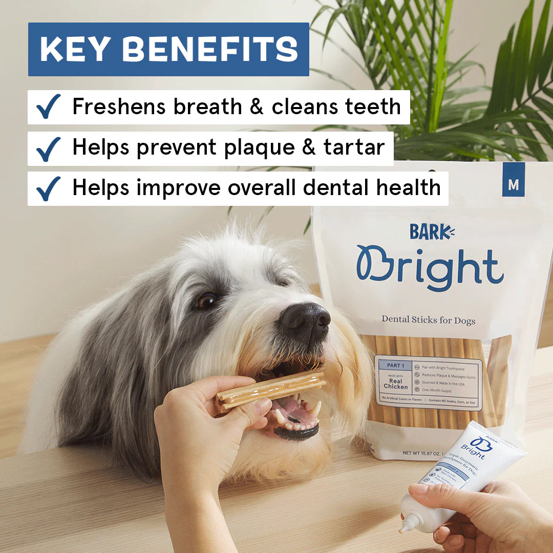BARK Bright Large Dental Kit for Dogs, 26.29 oz, C