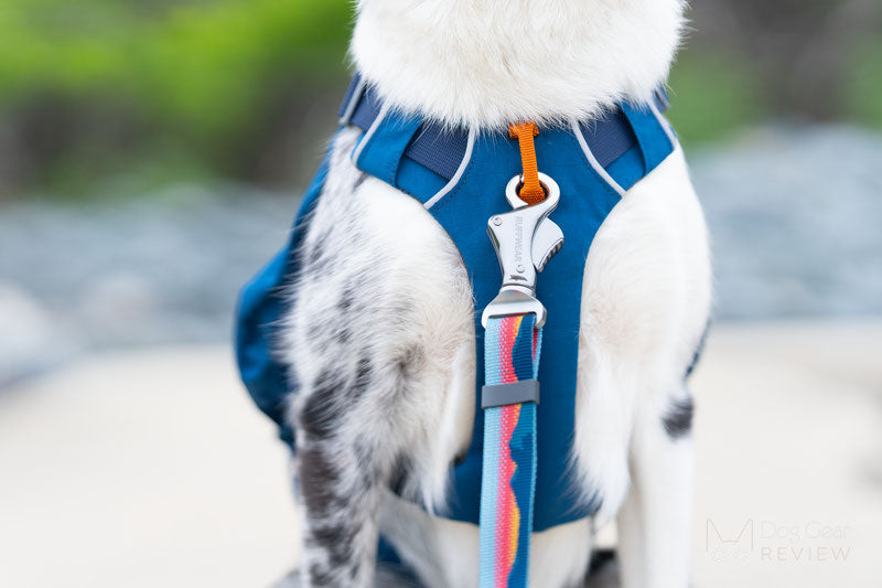 Ruffwear, Switchbak Dog Harness, Pack & Harness Hybrid for Day Trips & Everyday Use, Blue Moon, Small