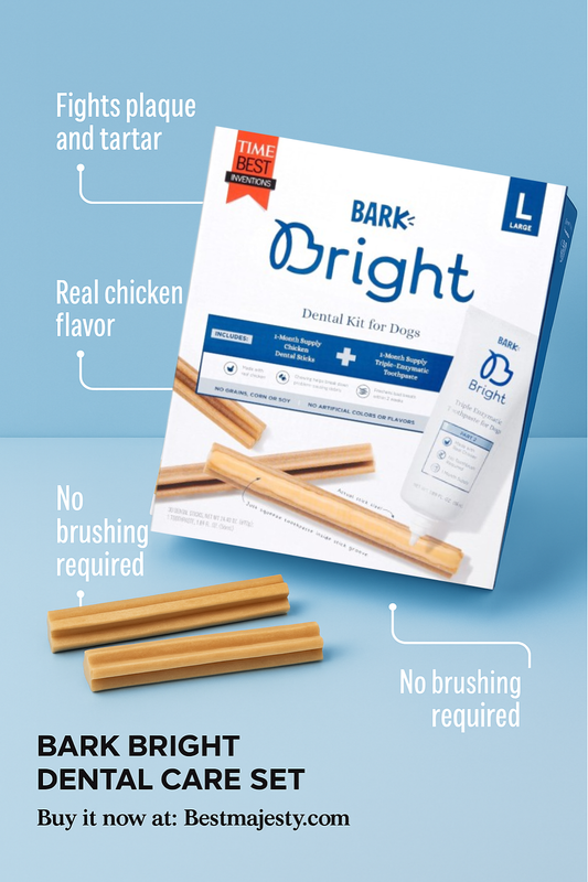 BARK Bright Large Dental Kit for Dogs, 26.29 oz, C